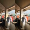 created by photogrid